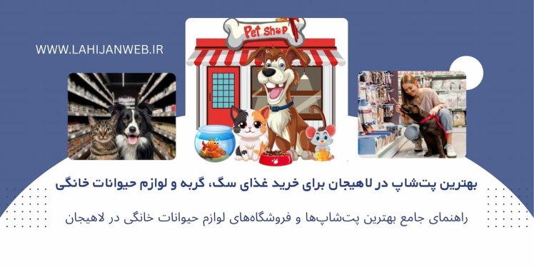 هترین پت‌شاپ‌های لاهیجان ، لیست کامل فروشگاه‌های لوازم حیوانات خانگی + آدرس و تلفن